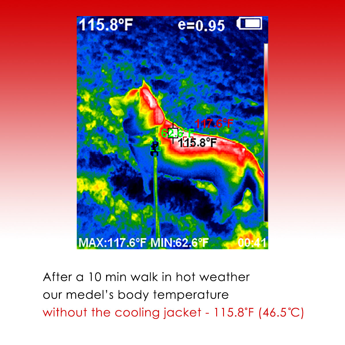 LCB Green Leaf Cooling Jacket