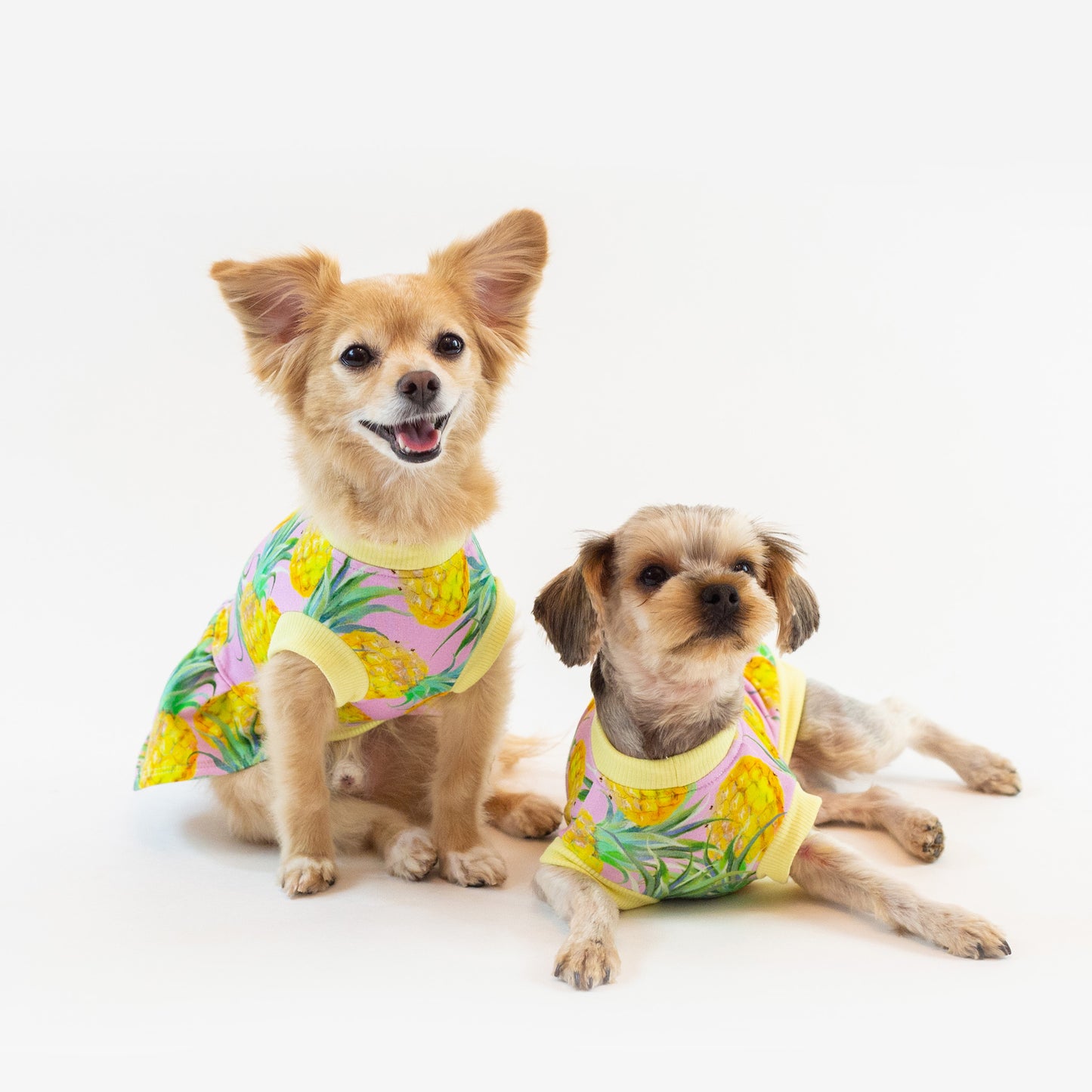 Pineapple Sleeveless Dress - Pink