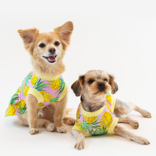 Pineapple Pink - Sleeveless