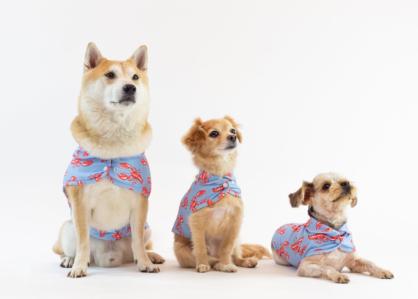 LCB Newport Cooling Jacket