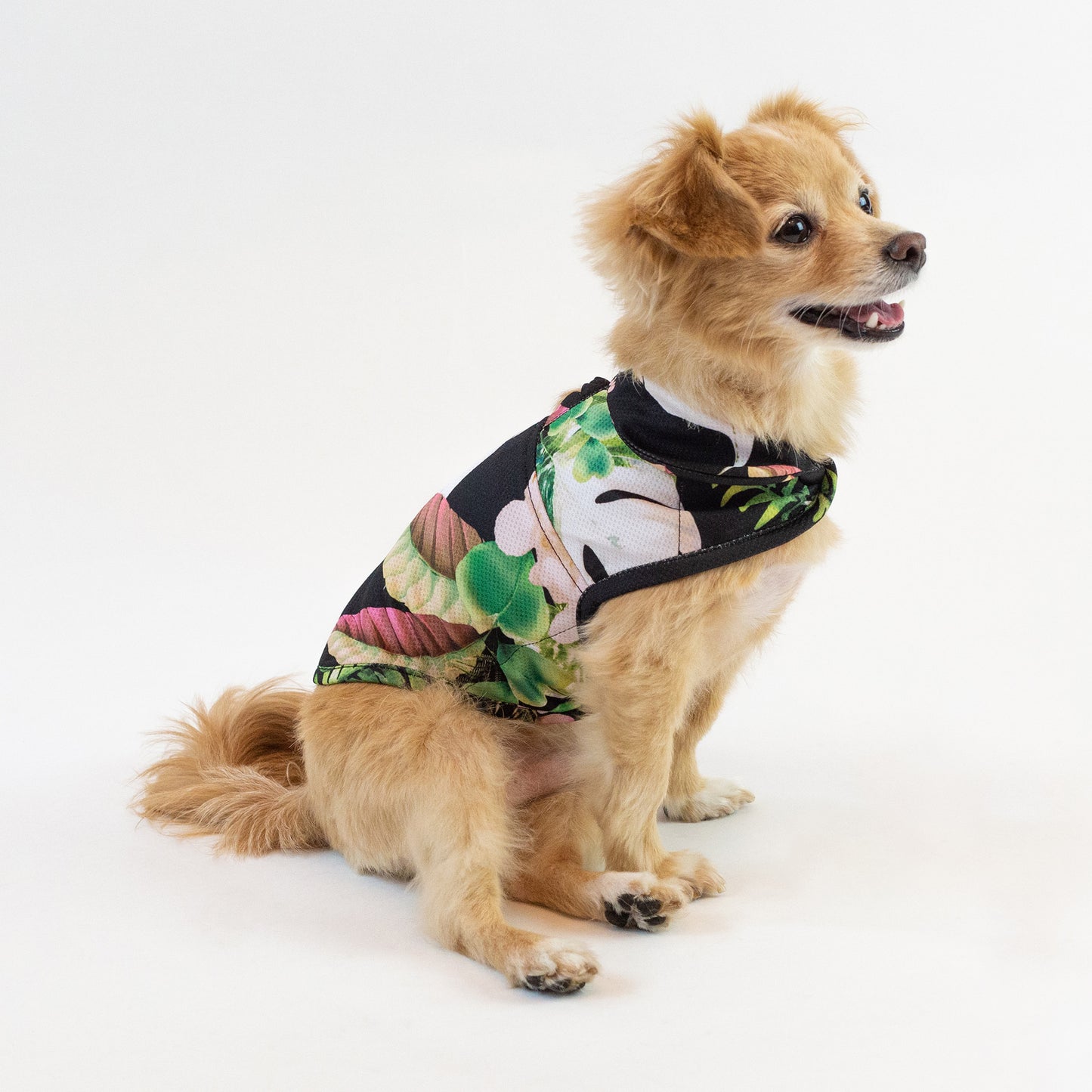 LCB Tropical Night Cooling Jacket