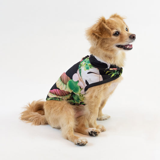 LCB Tropical Night Cooling Jacket