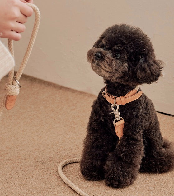 Stroll Light Weight Rope Collar