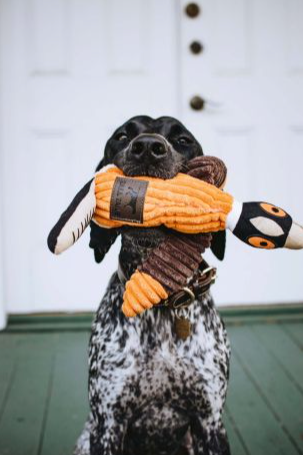 Tall Tails Pheasant With Squeaker
