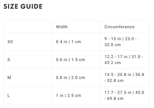 Zee Dog Skull 2.0 | Collar