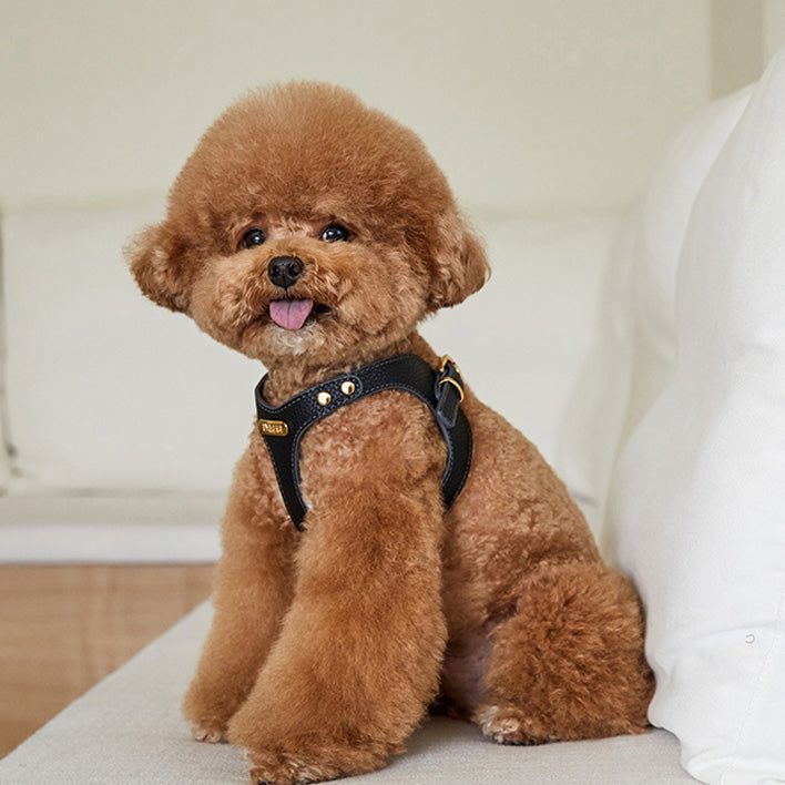 Delight Belt Harness - Vegan Leather