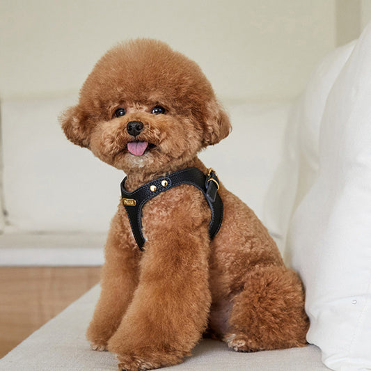 Delight Belt Harness - Vegan Leather