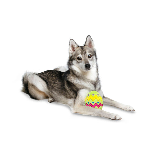 Plush Easter Egg Dog Toy with Squeaker
