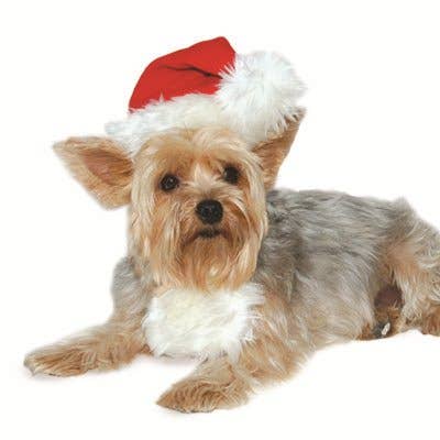 Santa Hat