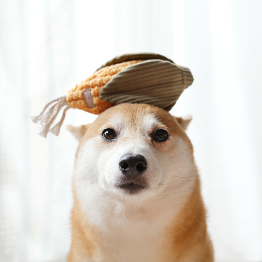 CORN + LEEK SET//ENRICHMENT DOG TOY