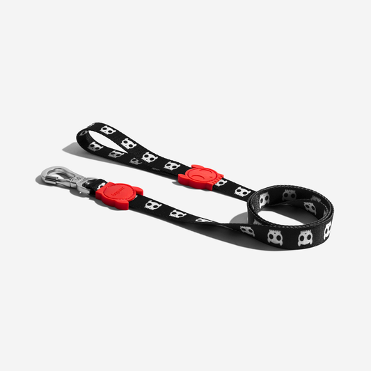 Zee Dog Skull 2.0 | Leash