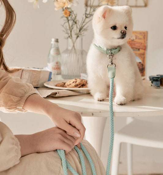 Stroll Light Weight Rope Leash