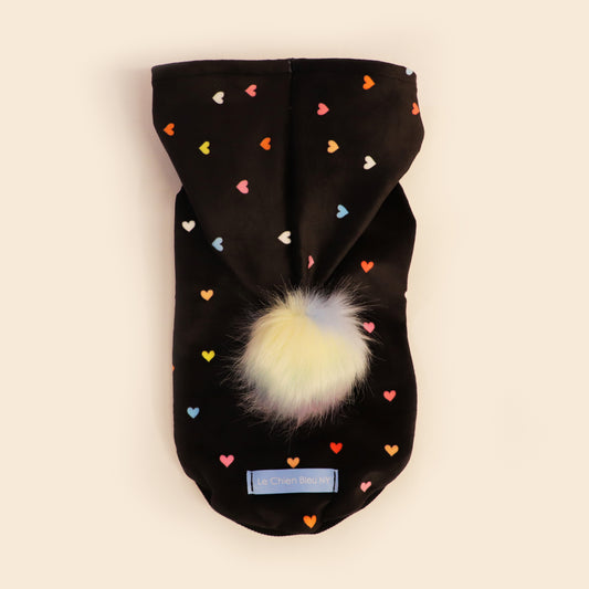 Rainbow Hoodie (made-to-order)